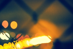 Photo: Danny Rothenberg