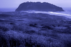 Photo: Danny Rothenberg